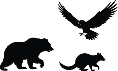 Wild animal silhouettes set featuring a grizzly bear walking an eagle soaring and a raccoon isolated on white background.