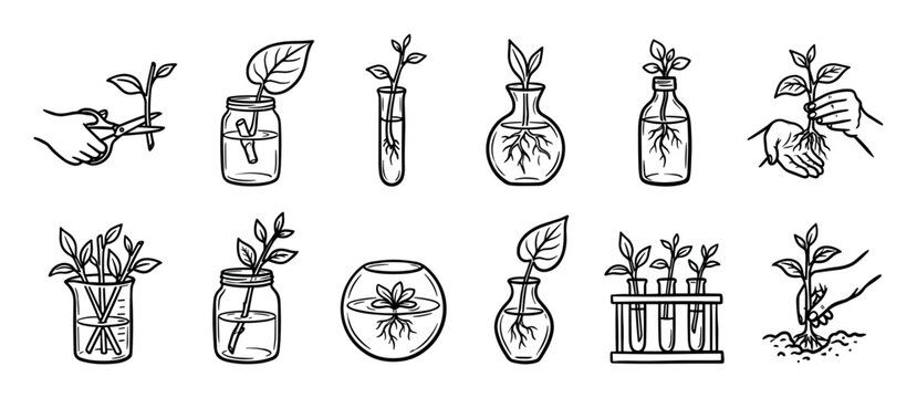 Hand-drawn plant propagation icon set showing various methods for rooting cuttings in water, including jars, vases, and test tubes, illustrating growth and horticulture concepts