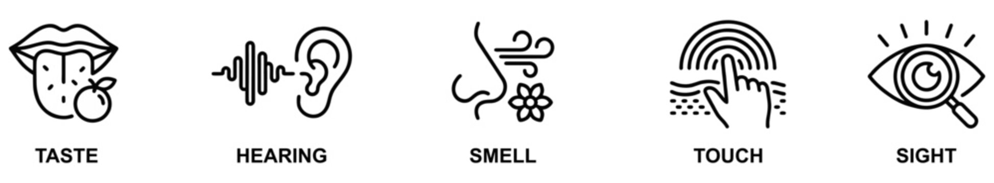 Five human senses icon set line art for educational anatomy design
