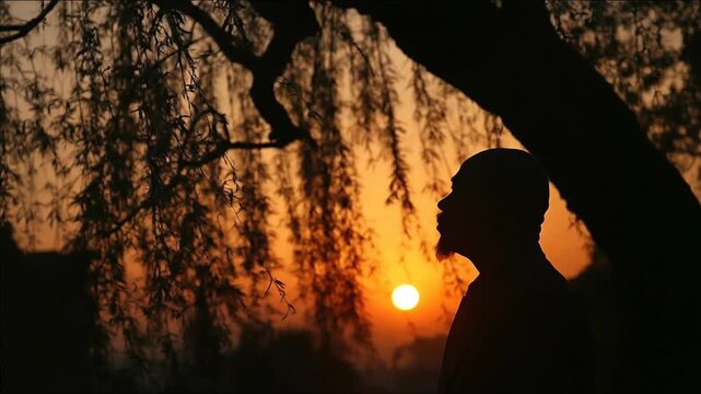 Silhouette man watering tree shaped like brain concept. Silhouette of a man with beard standing near tree at golden sunset nature background