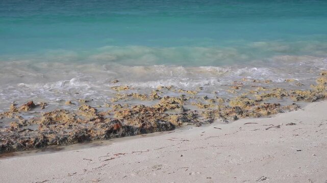 Caribbean sea, Atlantic ocean with waves and rocks on brown sand beach, slow motion (120p as 60p)