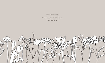 草木のベクター背景。植物のナチュラルフレーム。草木の線画イラスト。