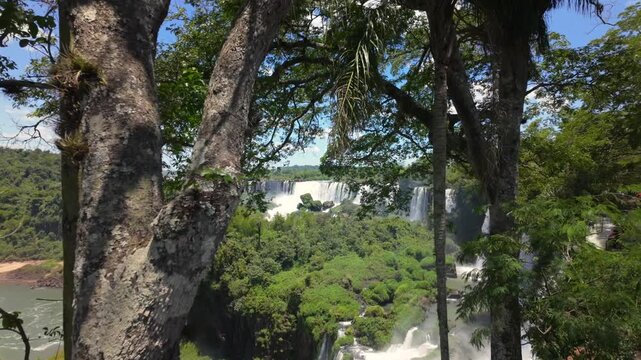 Tropical Forest With The Iguaz&uacute; Falls On The Border Of Argentina And Brazil. Aerial Drone Shot