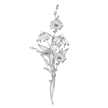 Hand drawn wildflower bouquet in vector line art style, elegant botanical composition for greeting card, anniversary, Mother Day, Women Day, memorial funeral tribute and holiday celebration design