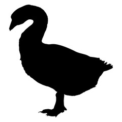 Fototapeta premium Goose silhouette