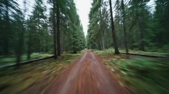Shattered clock face with flying glass shards concept. Blurred forest trail surrounded by tall green trees and lush vegetation on a misty day