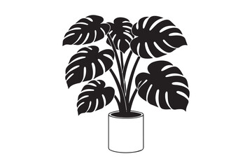 Indoor plant silhouette with white background