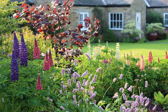 Countryside cottage garden with a bed of colourful flowers