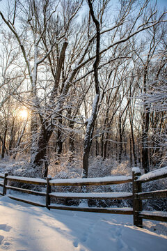 Morning sunlight over snowy forest, wooden fence Pennsylvania winter