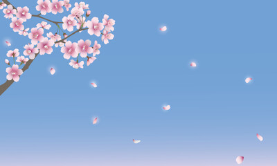 散る桜の花（ブルー背景）