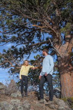Couple talking on mountain trail beneath pine tree