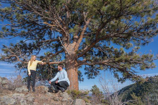 Couple hanging out under pine tree