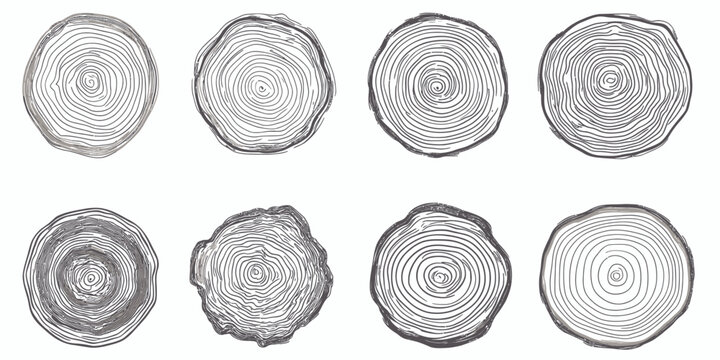 Set of hand drawn tree rings with natural wood texture, irregular circular growth rings pattern, organic wood slice cross sections in black and brown line art style vector illustration