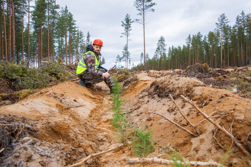 A man, a forest engineer, checks the quality of forest planting.