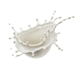 Milk Splash on White Background