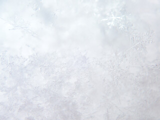 Close up of white snow background