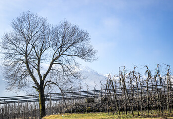 nebbia in montagna