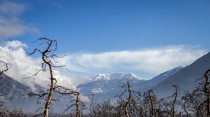 nebbia in montagna