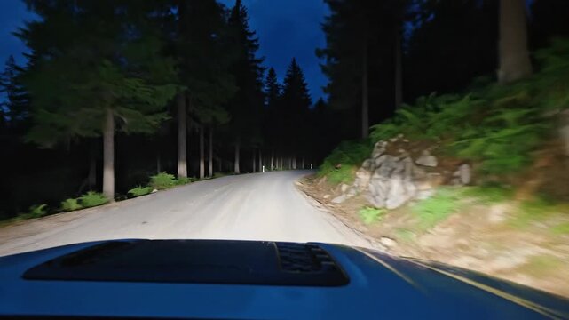 POV driving at night on a road through a dark forest, car hood in view, illuminated by headlights