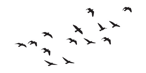 Fototapeta premium Silhouette birds flying in the sky, freedom, nature, minimalist vector