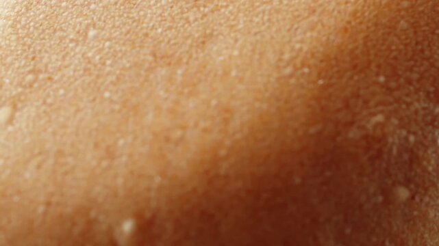 Teacake bread bun roll extreme macro close up with a rotating camera motion stock footage