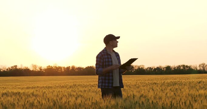 Silhouette of farmer working in cereal meadow. Man farmer holds clipboard during golden hour. Skilled farmer analyses land production. Agriculture concept shows nature beauty under sun.