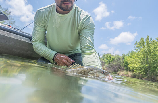 The Catch and Release: A Kayak Angler Landing a Freshwater Bass