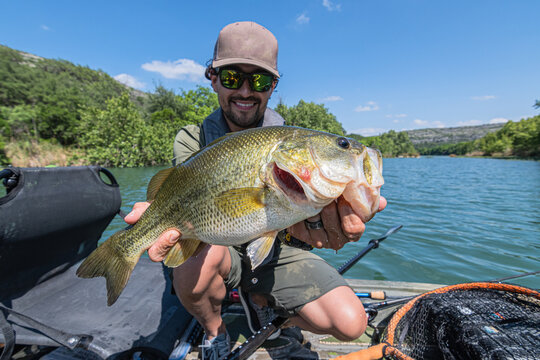 Successful Angler Proudly Holding Large Largemouth Bass on Kayak