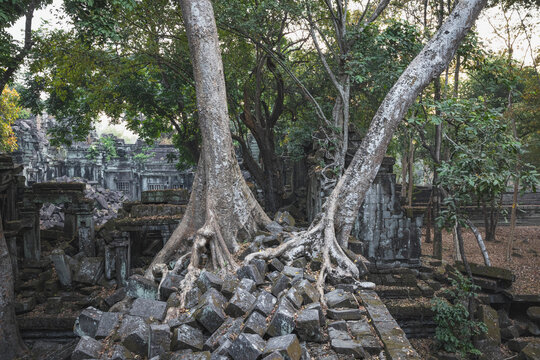 Details of Prasat Tom Temple