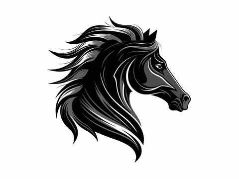Dramatic black and white illustration of a horse s head in profile