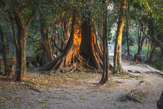 Details of Prasat Tom Temple