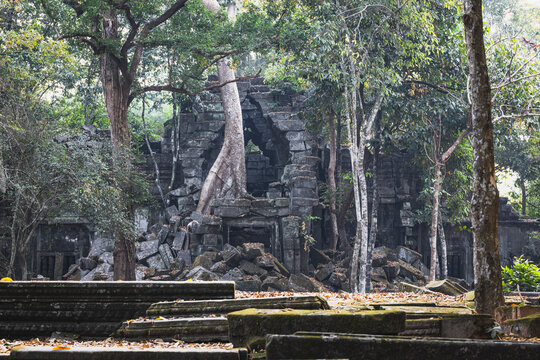 Details of Prasat Tom Temple
