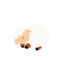 Baby Sheep Illustration