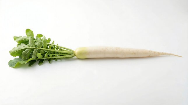 White icicle radish vegetable isolated on a white background