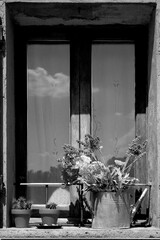 Naklejka premium Borghi toscani in bianco e nero. L'architettura medievale dei borghi toscani, caratterizzata da pietra, cotto, riflette il periodo comunale con cinte murarie, torri, vicoli stretti e piazze. Italia. 