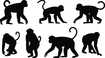 Black monkey silhouettes set featuring various primate species like chimpanzee and macaque in active poses including walking and sitting isolated on a clean white background © Nayan