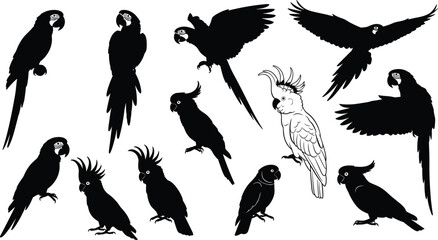 Black silhouette and line art parrot collection featuring macaws and cockatoos in flight and perched poses isolated on white background for tropical design projects © Nayan