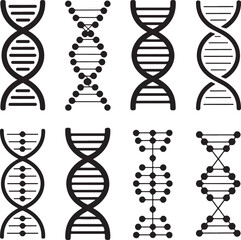 dna strand on white background