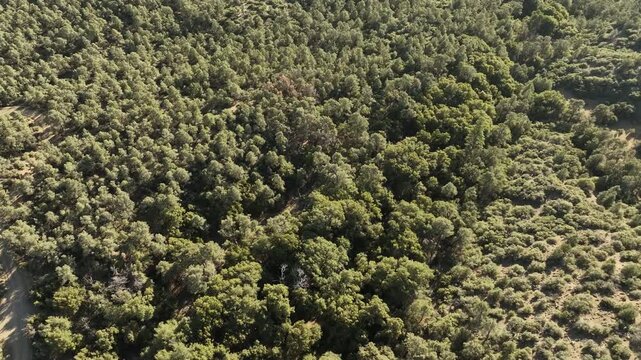 Southern California Los Padres Forest Aerial Shot of Fly Over California USA