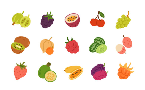 Exotic, tropical, rare and Common Fruits Collection. Flat cartoon Vector Set of fruits on white isolated background.