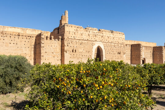 Ruins of a large, tan-colored building with an arched entrance, the Palais El Badi, partially obscured by orange trees. Blue sky above. Palais El Badi,Marrakech,Morocco