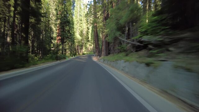 Sequoia National Park Crescent Meadow Road 21 MultiCam Front View Giant Forest Driving Plate California USA