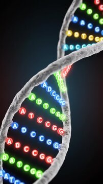 A highly detailed and colorful representation of a DNA double helix structure