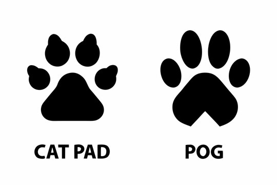 Black silhouettes of two cat paw prints with text labels below