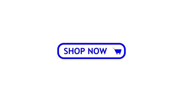Rounded blue outline button with text 'shop now' and small shopping cart icon on white background