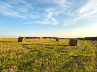 Round hay bales on a harvested field under blue sky at sunset. Rural farming landscape, summer © valiantsin