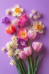 Mixed spring bouquet of pink and orange tulips, cream daffodils with orange centers, small white and purple blossoms and green stems on a lilac background, cheerful and fresh