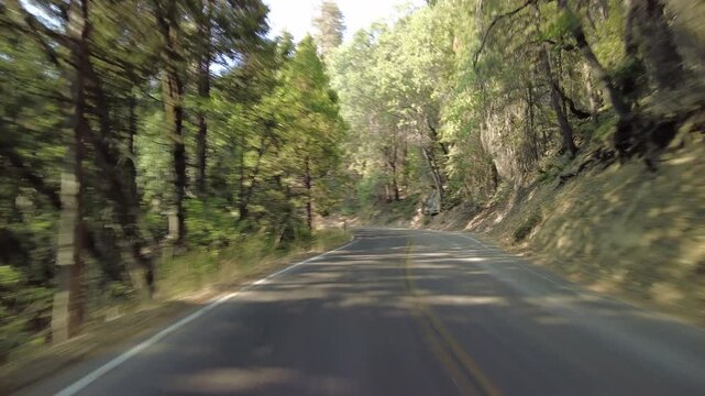 Sequoia National Park Generals Highway Southbound 21 MultiCam Rear View Forest Driving Plate California USA