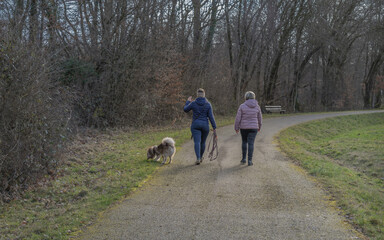deux personnes de dos promenant chien en for&ecirc;t