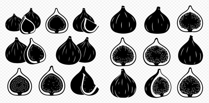 Set of black and white fig illustrations, whole and cut, showcasing healthy fruit designs.